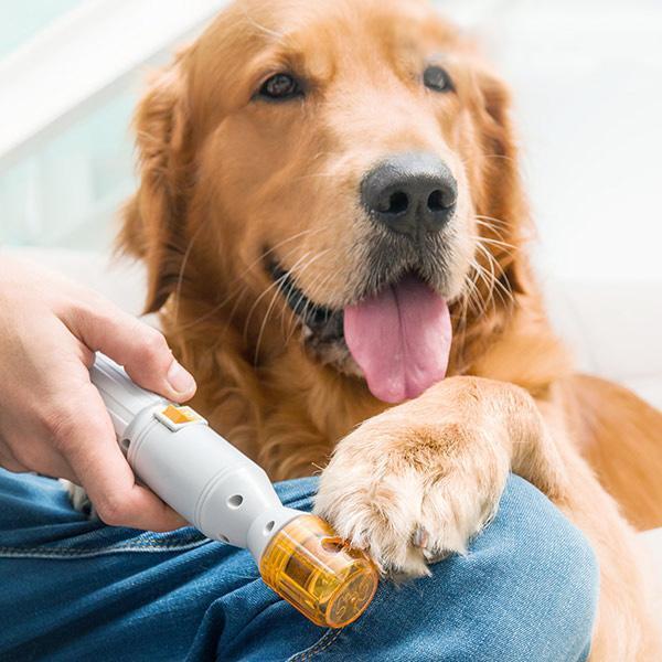 Easy to use electric pet nail trimmer